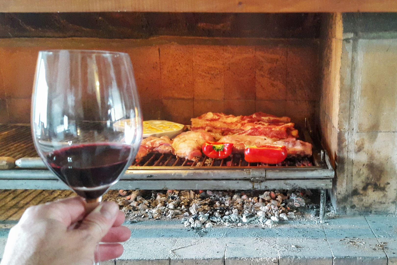 como harmonizar churrasqueiras eletricas com vinhos