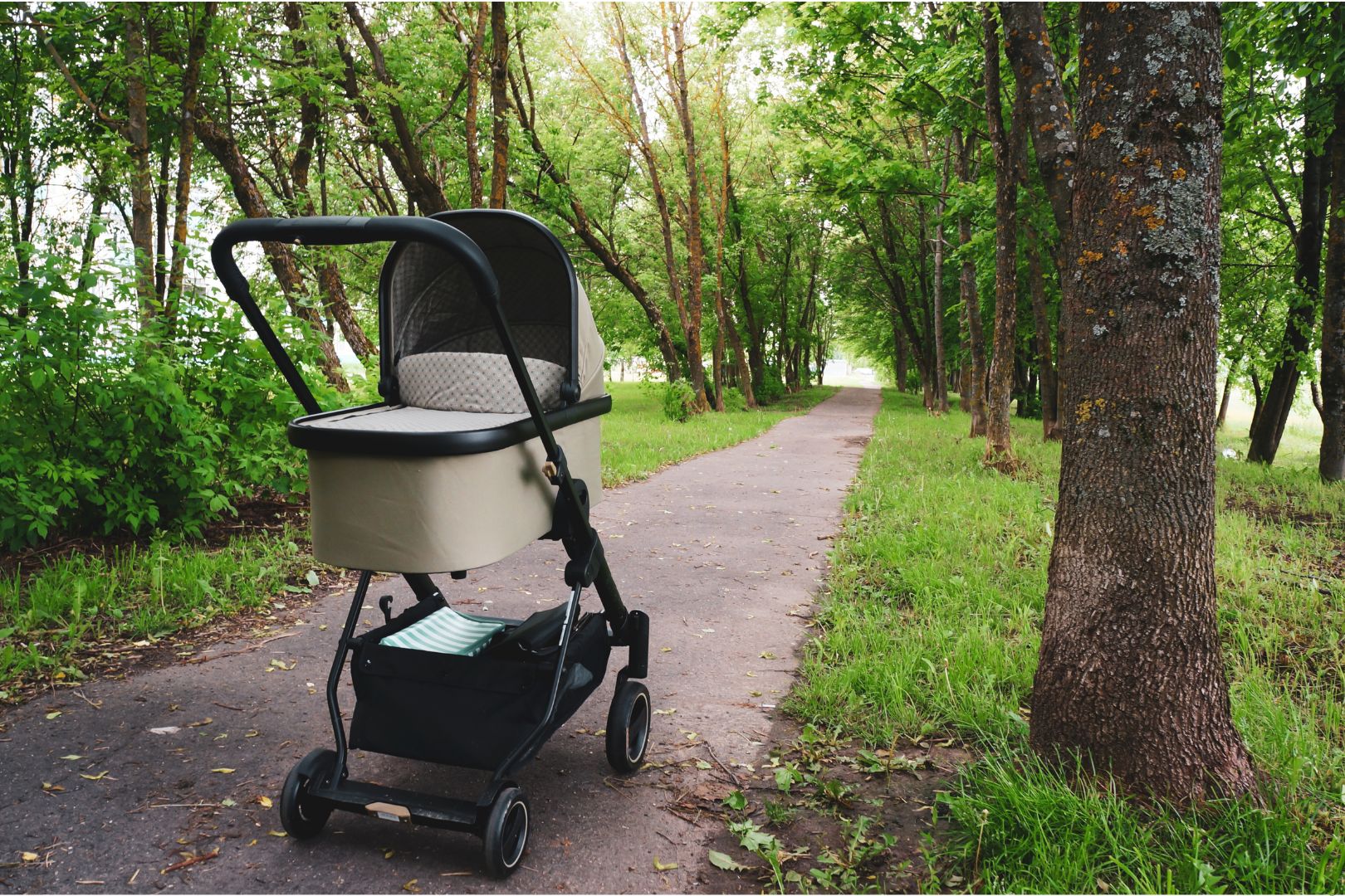 carrinhos de bebe custo beneficio